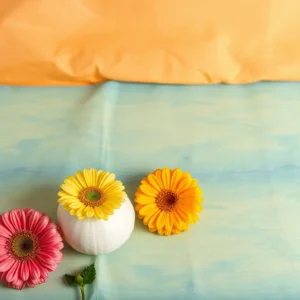 Ankara Nallıhan Genital Estetik Merkezi